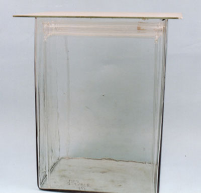 1743 vasca per cromatografia